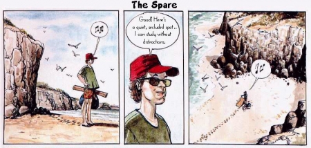 Altuna, Horacio - The Spare