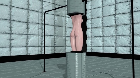 3d hentai Sex Videos- Female Body No 067 Modern Blonde Girl Upright Pillar Restraint Dildo Insertion