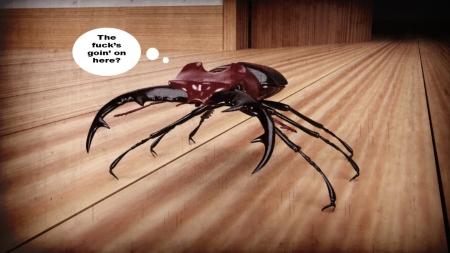 Casgra -Mr  Roachcock's Bug Zapper 2
