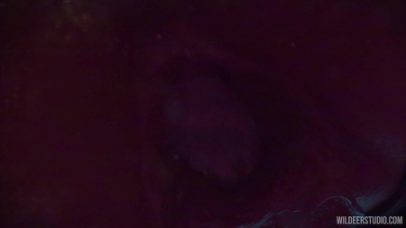 Halloween 2024 [Wildeer Studio] [3d animation porn videos & sex movies]