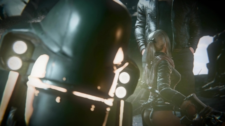 Aranea Bj Aranea Bj
