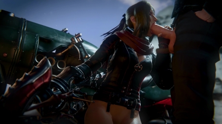 Aranea Bj Aranea Bj