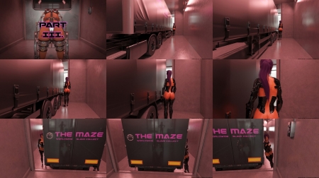 Trapped in Wheelchair 3